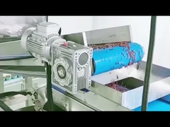 Come fa l'attrezzatura per la conservazione dei fagioli rossi a produrre fagioli rossi in scatola?