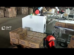 Robot pallettizzatore per cartoni pallettizzante sistema di pallettizzazione robotico Move Robot