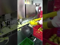 Linea di produzione di frutta in scatola Leadworld Linea di lavorazione di pere in scatola