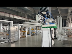 Palletizzatore per cartone completamente automatico