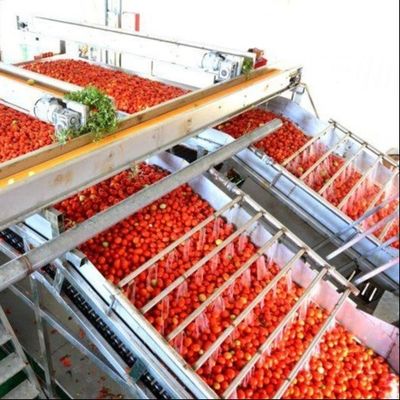 Linea di produzione multifunzionale di scatole per pomodori in scatola di Leadworld Industrial