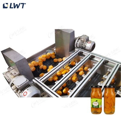 Linea di produzione di frutta in scatola Leadworld Linea di trasformazione di arance in scatola