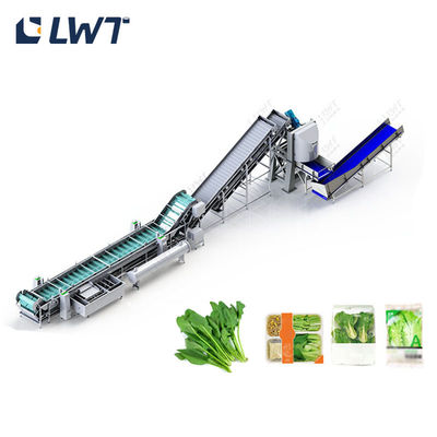 Linea di congelamento rapido degli spinaci Equipaggiamento di lavorazione per il congelamento rapido di frutta e verdura